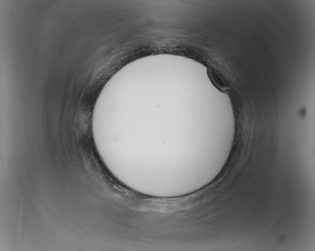 X0000115390033200912011238