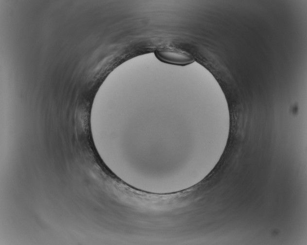 X0000115390035200912011238