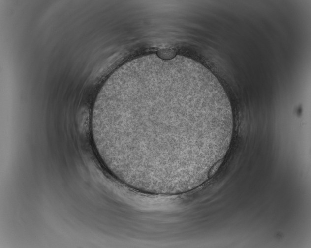 X0000115390036200912011238