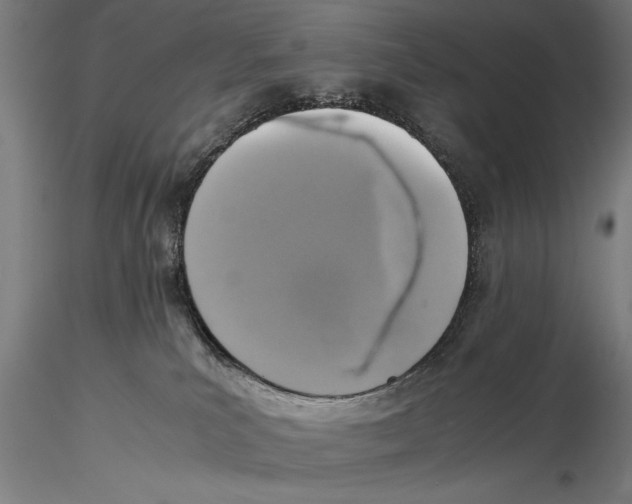 X0000115390039200912011238