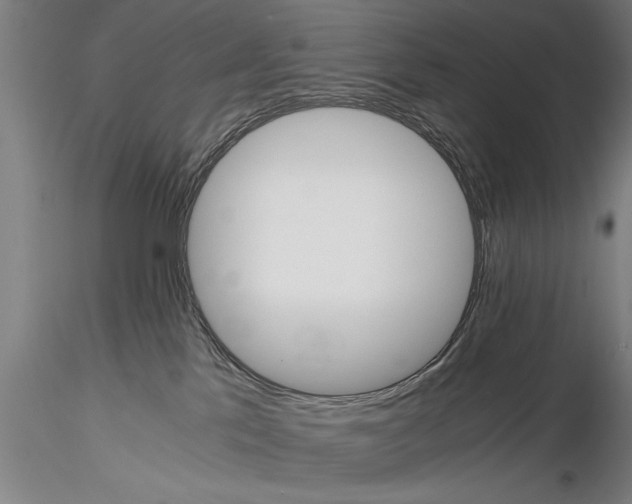 X0000115390041200912011238