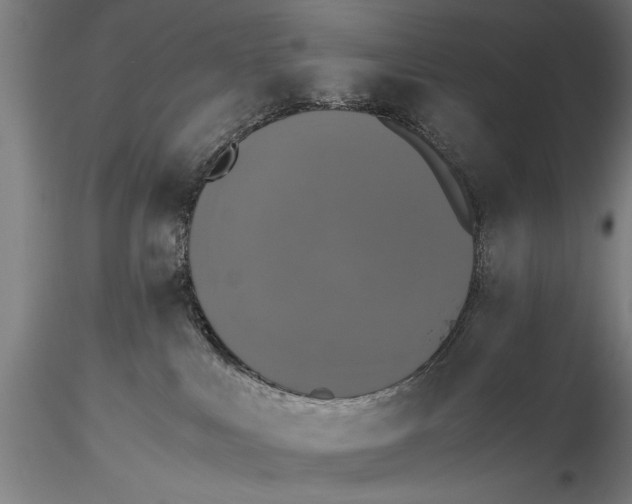 X0000115390043200912011238