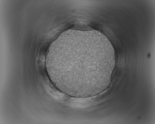 X0000115390045200912011238