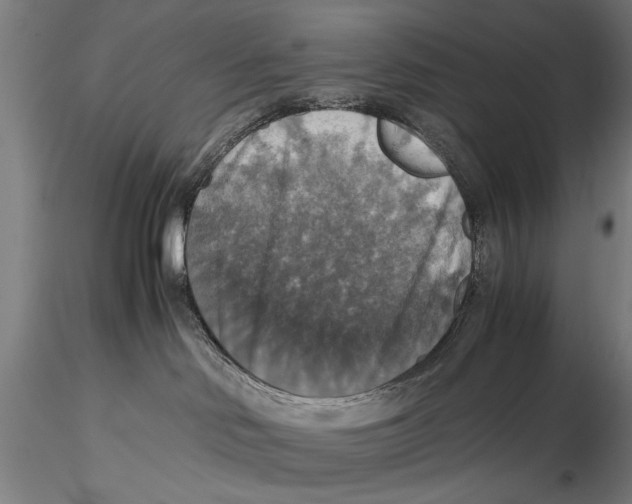 X0000115390046200912011238