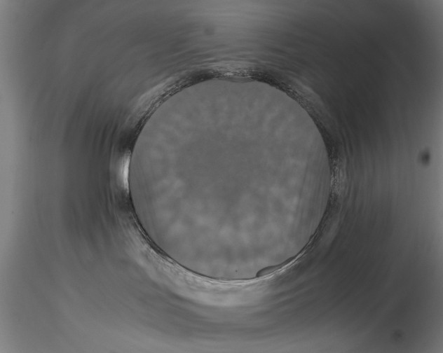 X0000115390047200912011238