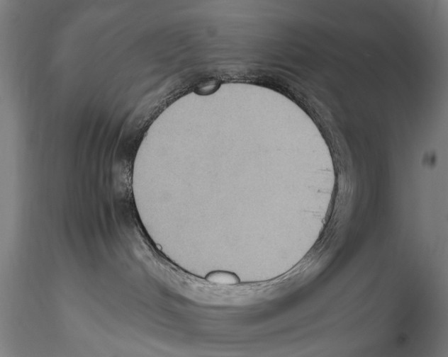 X0000115390048200912011238