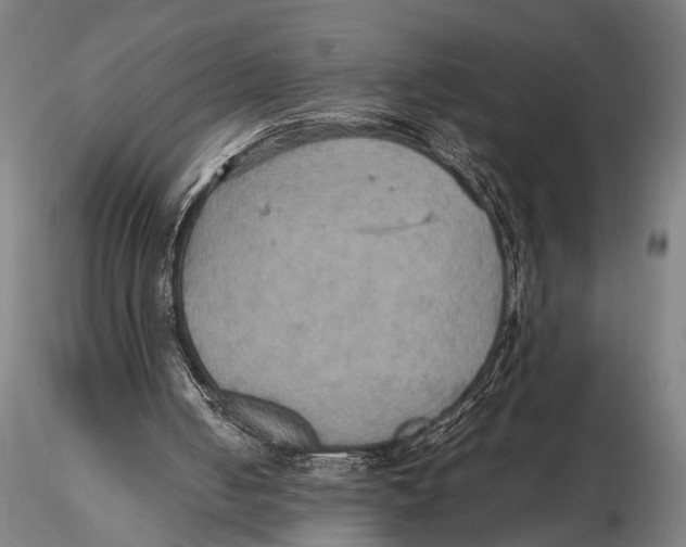 X0000115390050200912011237