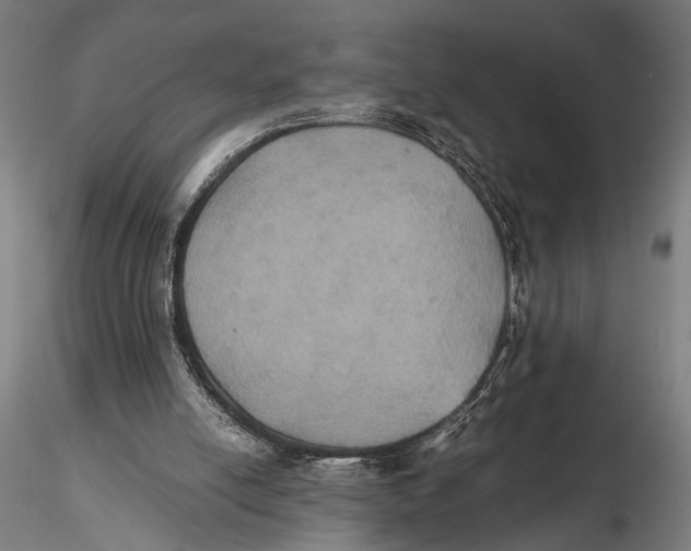 X0000115390054200912011237