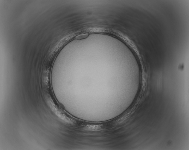 X0000115390057200912011238