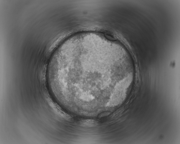 X0000115390058200912011238