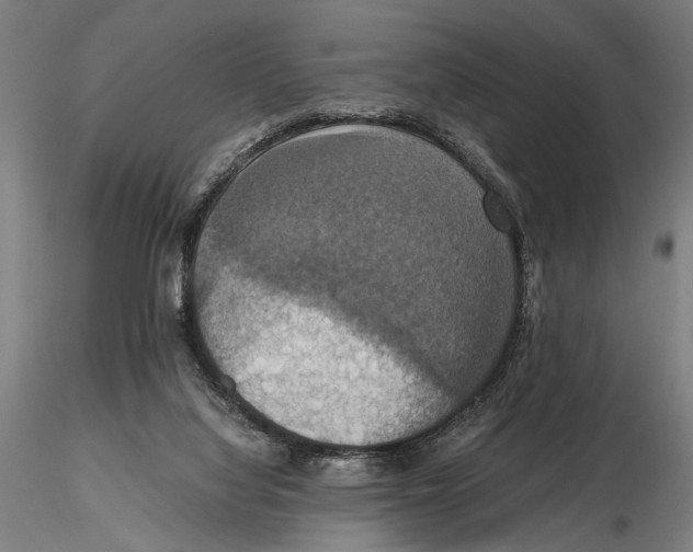 X0000115390068200912011238