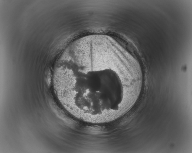 X0000115390069200912011238