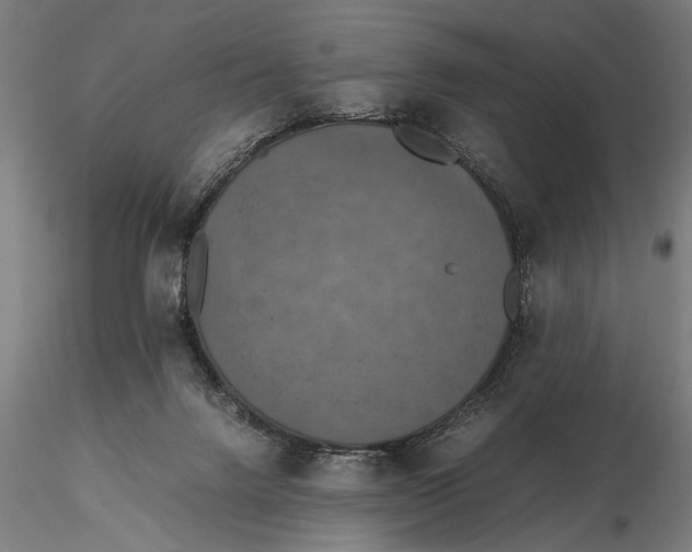 X0000115390072200912011238