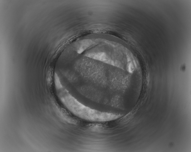 X0000115390074200912011238