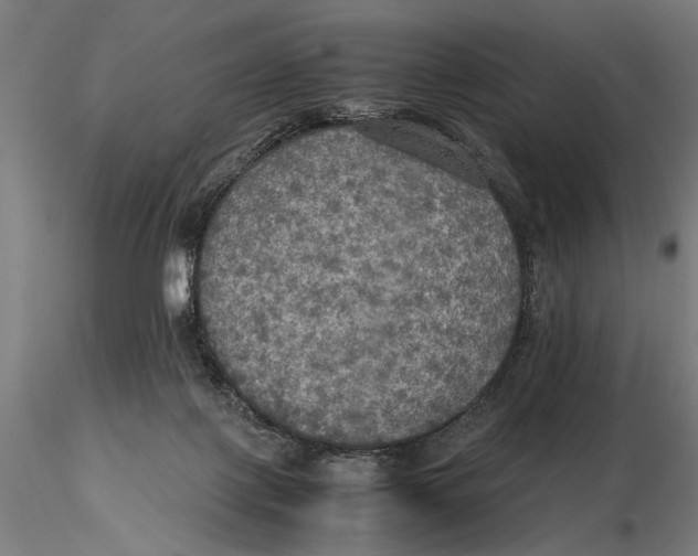 X0000115390075200912011238