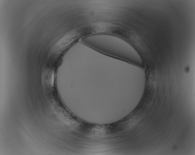 X0000115390076200912011238