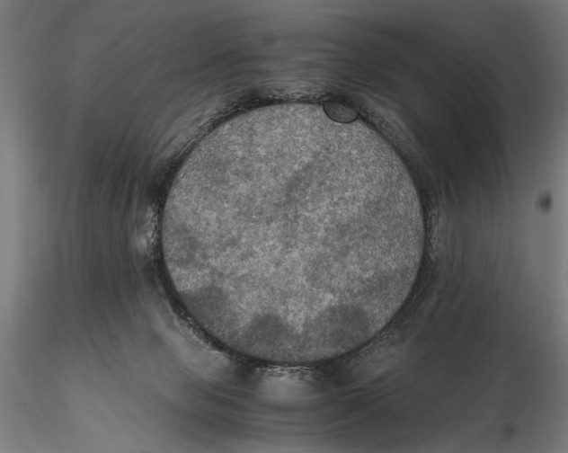 X0000115390077200912011238