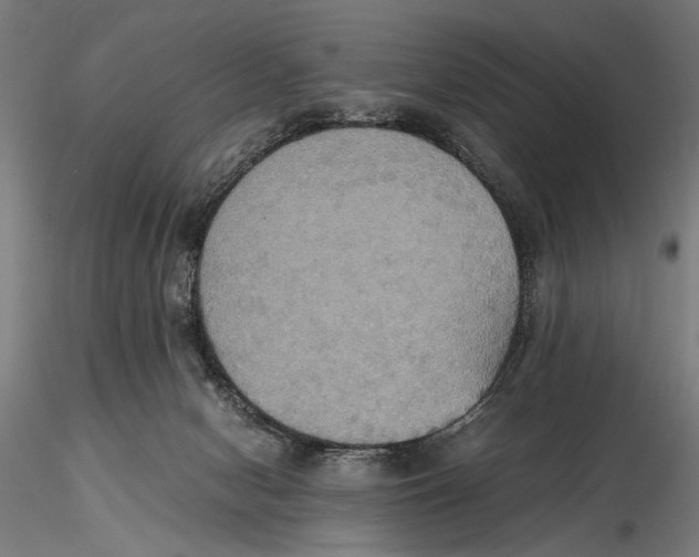 X0000115390078200912011238