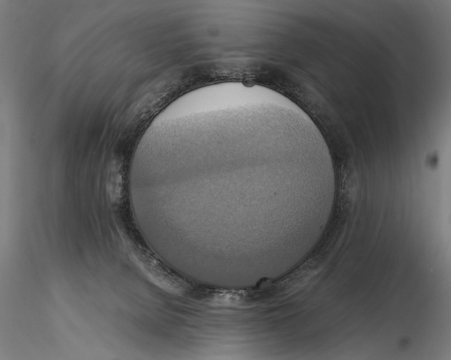 X0000115390080200912011238