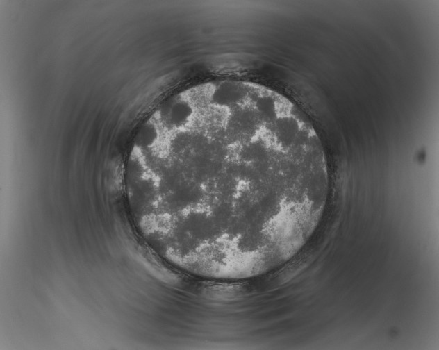 X0000115390081200912011238