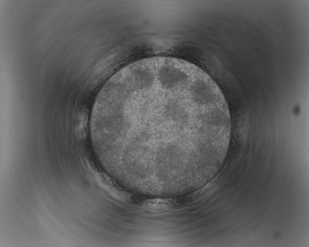 X0000115390082200912011238