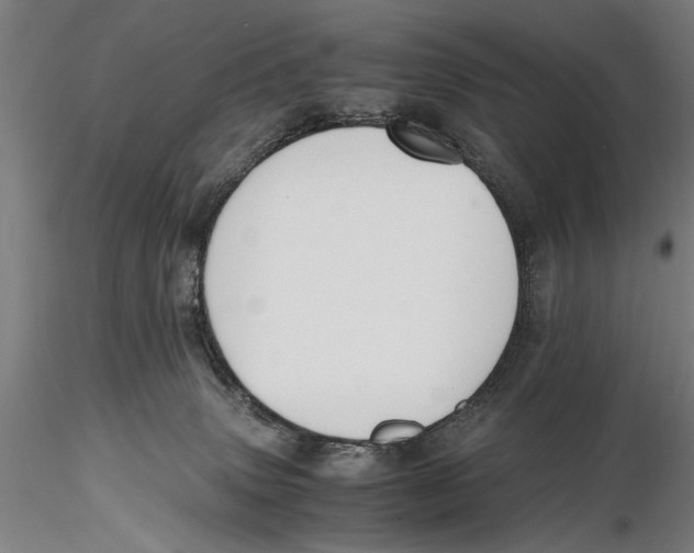 X0000115390083200912011238