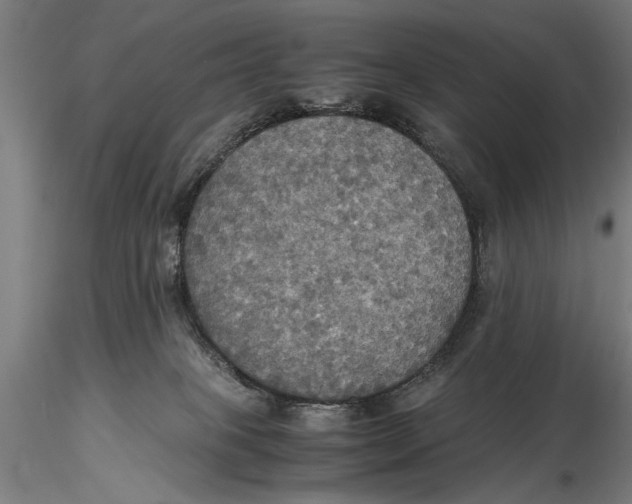 X0000115390085200912011238