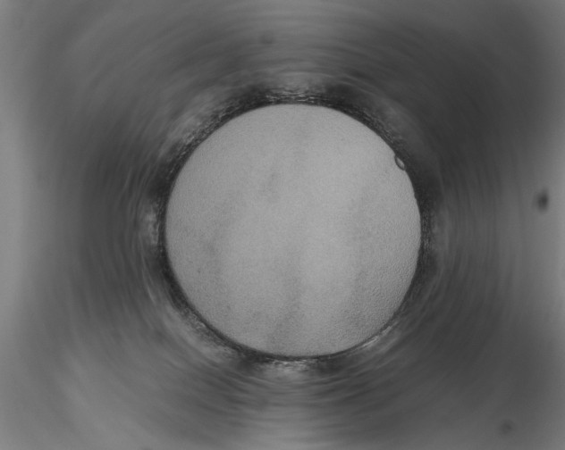 X0000115390086200912011238