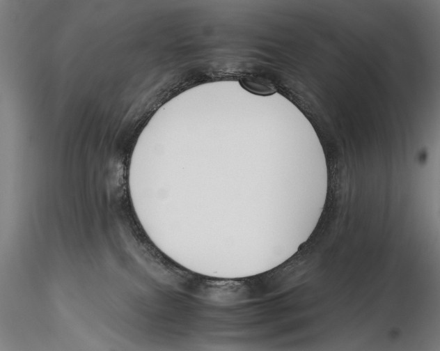 X0000115390087200912011238