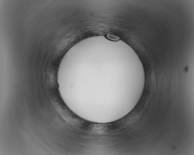 X0000115390088200912011238