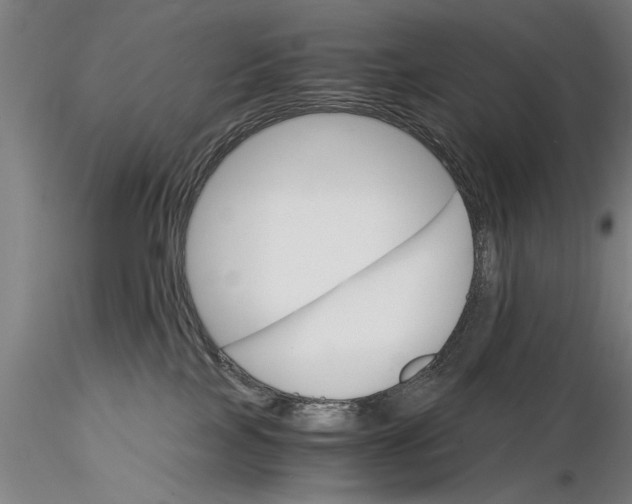 X0000115390089200912011238