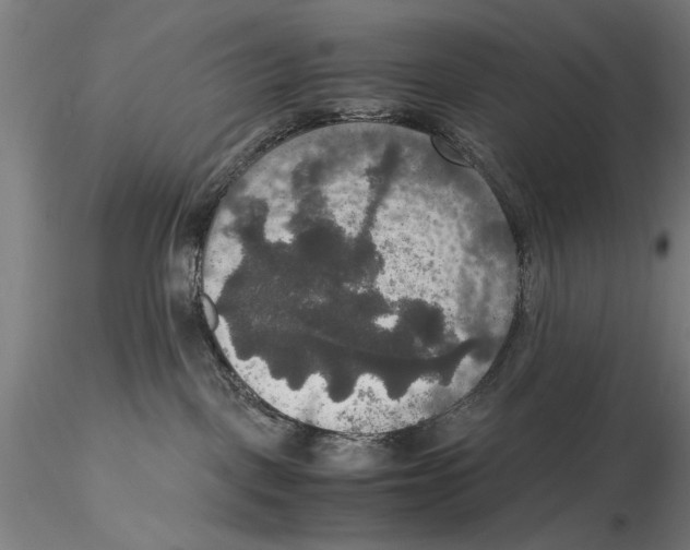 X0000115390093200912011238