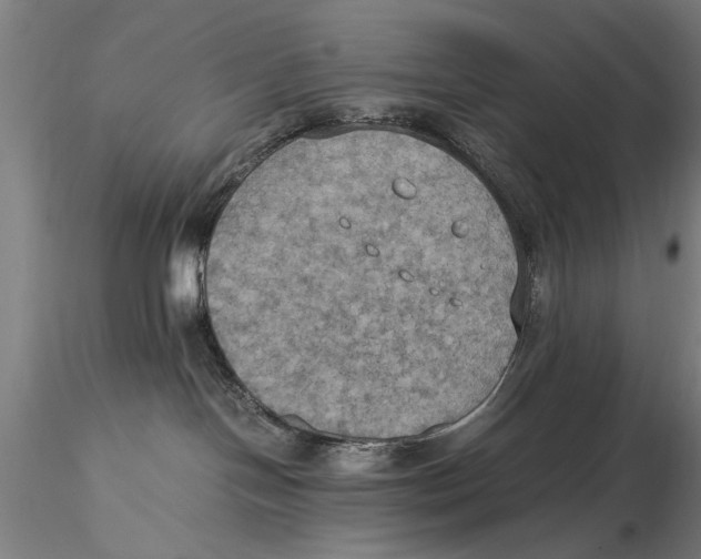 X0000115390094200912011238