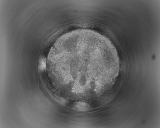 X0000115390095200912011238