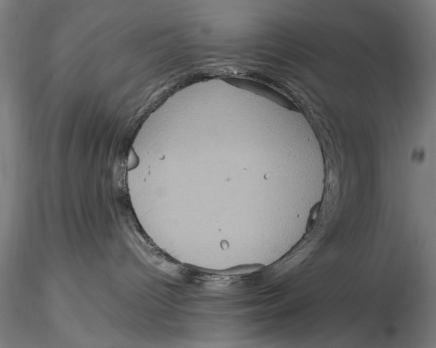 X0000115390096200912011238