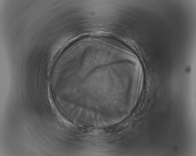 X0000115390097200912011237