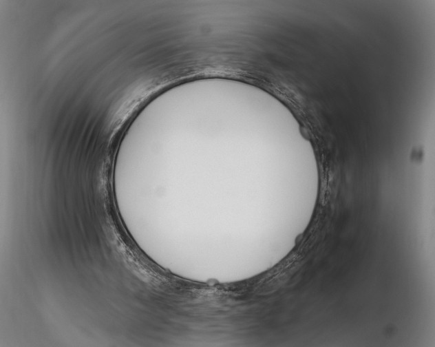 X0000115390098200912011237