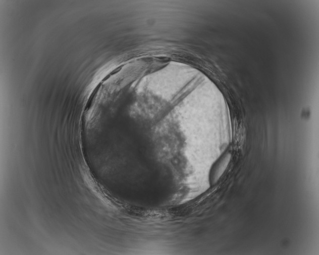 X0000115390099200912011237