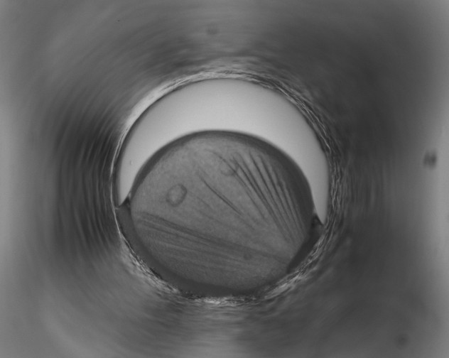 X0000115390100200912011237