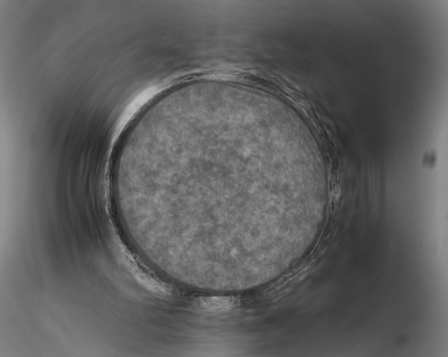 X0000115390102200912011237