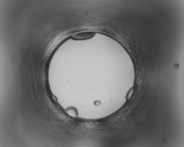 X0000115390103200912011237