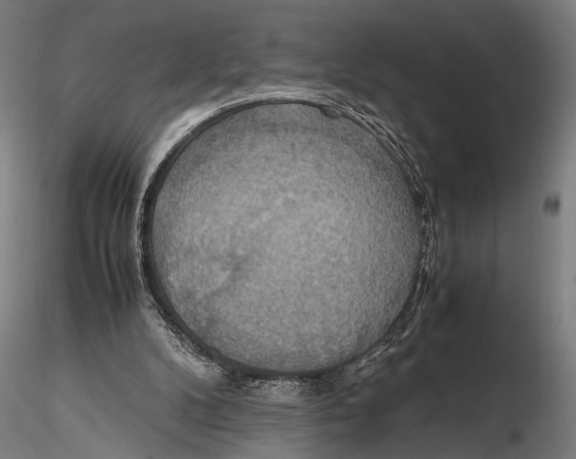 X0000115390104200912011237