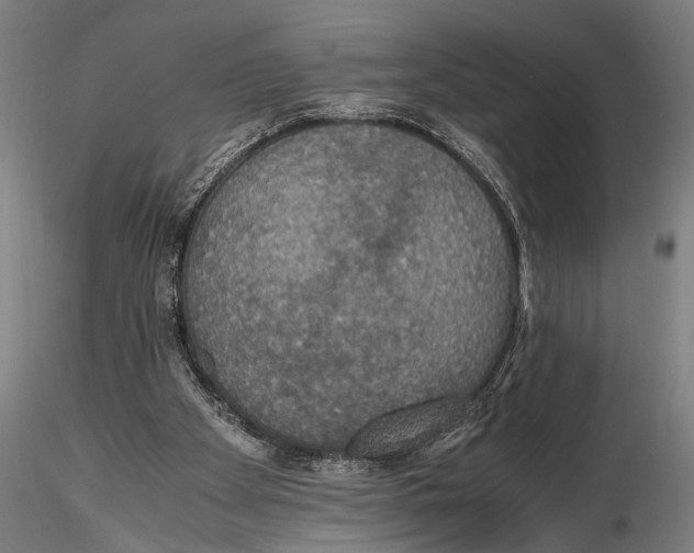 X0000115390105200912011237