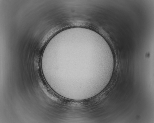 X0000115390106200912011237