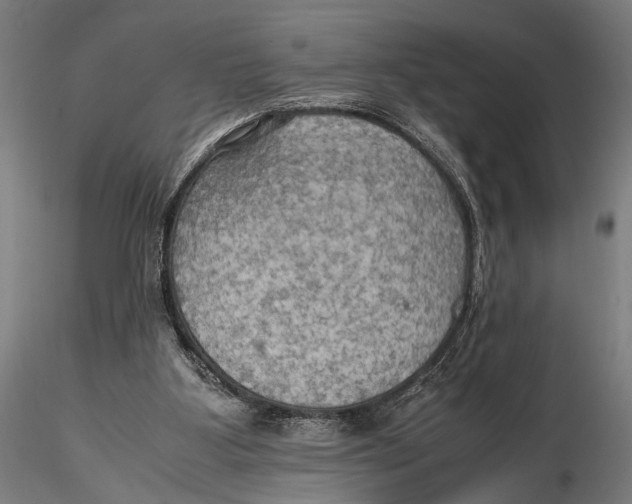 X0000115390107200912011237