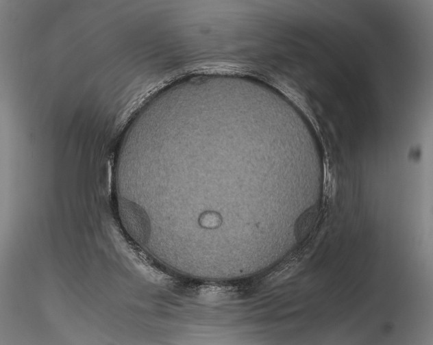 X0000115390109200912011237