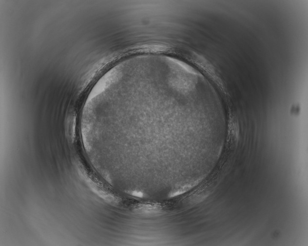 X0000115390110200912011237