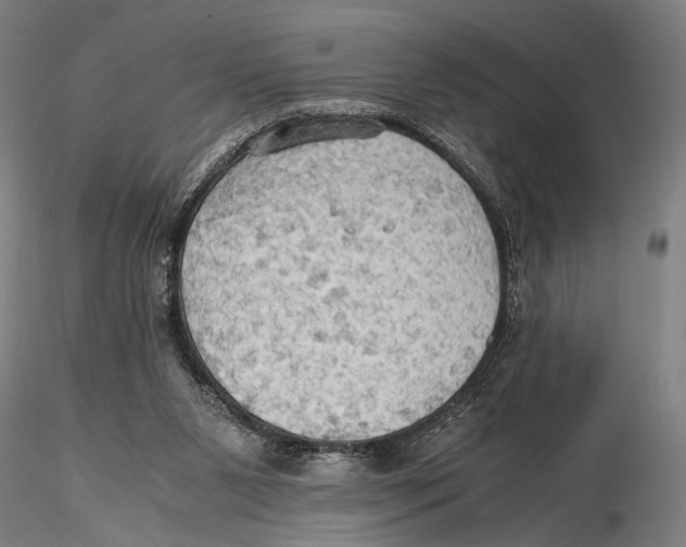 X0000115390111200912011237