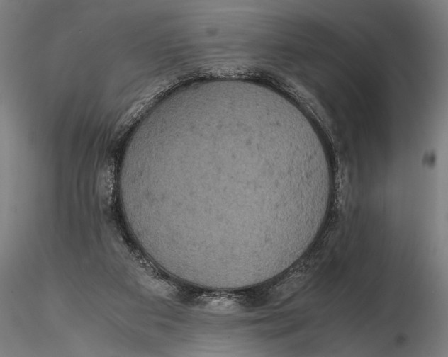 X0000115390113200912011237