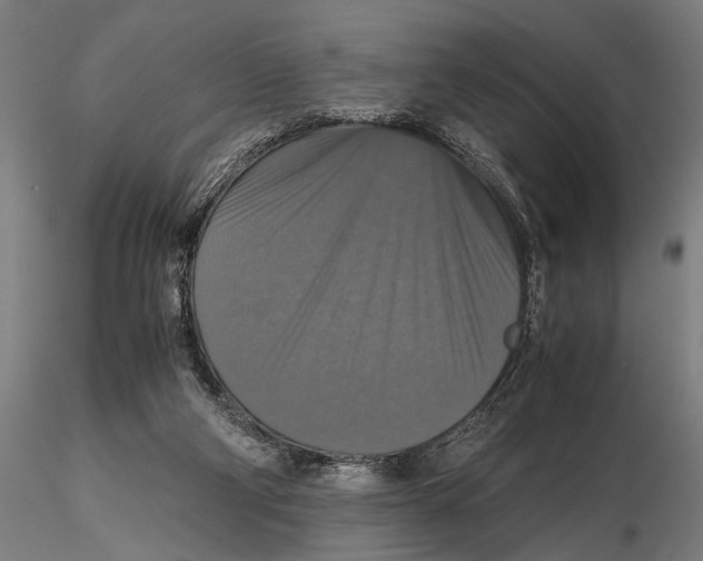 X0000115390114200912011237